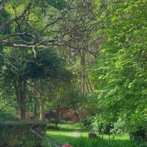 photo entretien photo entretien