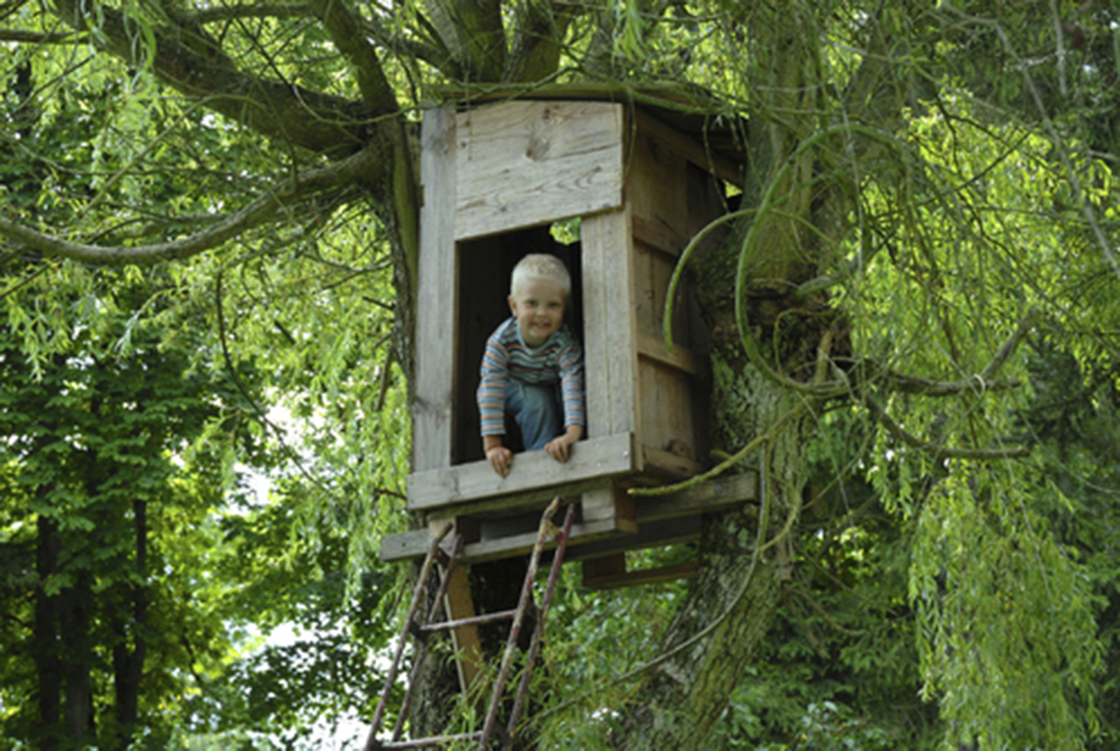 Une Cabane Pour Mes Enfants Vous Avez Construit Une Cabane Cabane | My