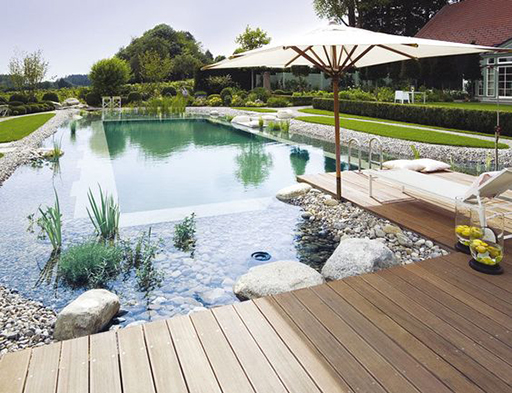 Piscine Naturelle En 6 Questions Viving