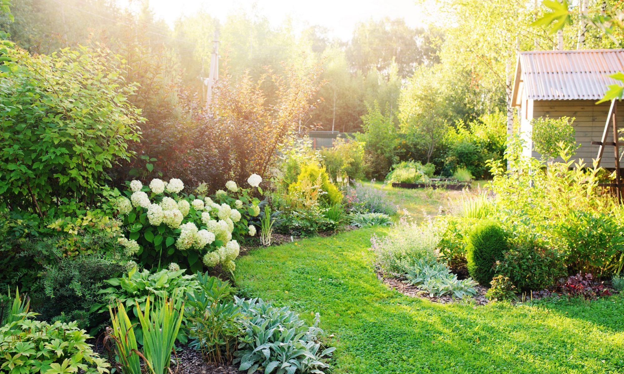 3 cabanes de jardin qui font rêver et 6 conseils pour créer la vôtre