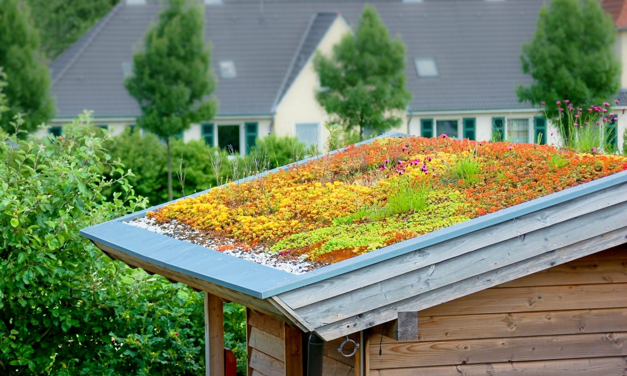 Pourquoi intégrer le métal oxydé dans son jardin ? – Jardinier Conseil