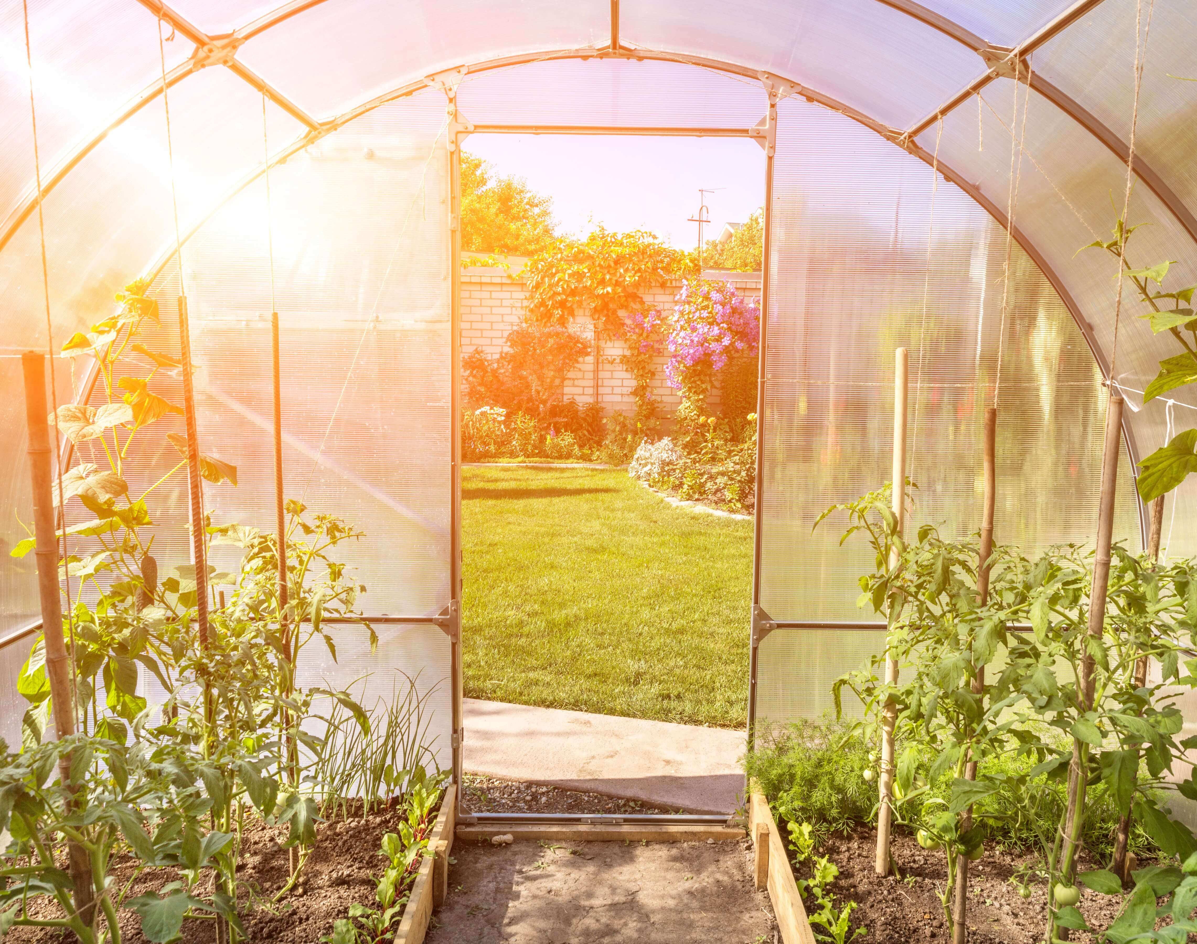 Fabriquer soi-même sa serre de jardin - Salon VIVING